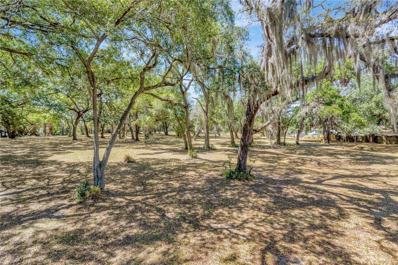 5501 N 37th Street, Tampa, FL 33610 Photo