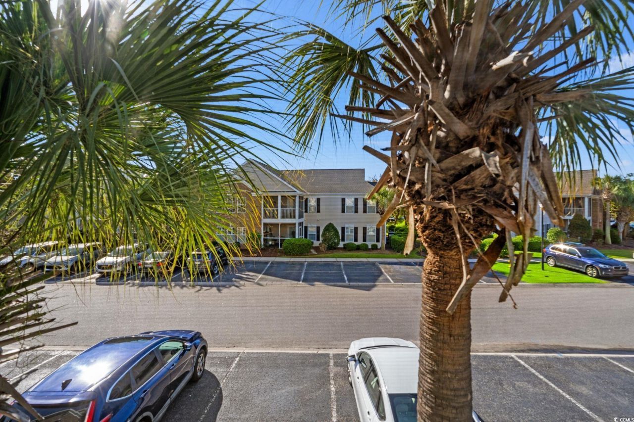 4654 Fringetree Dr. Photo 22