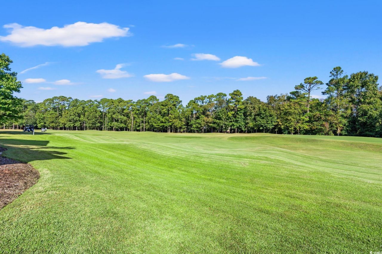 4654 Fringetree Dr. Photo 25