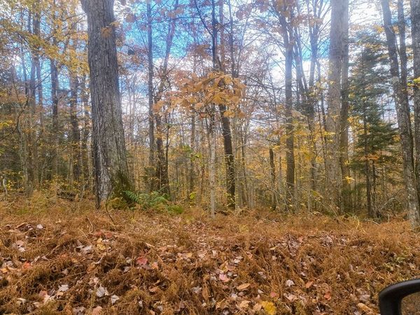 lot 20 Parish Road, Worthington, MA 01098