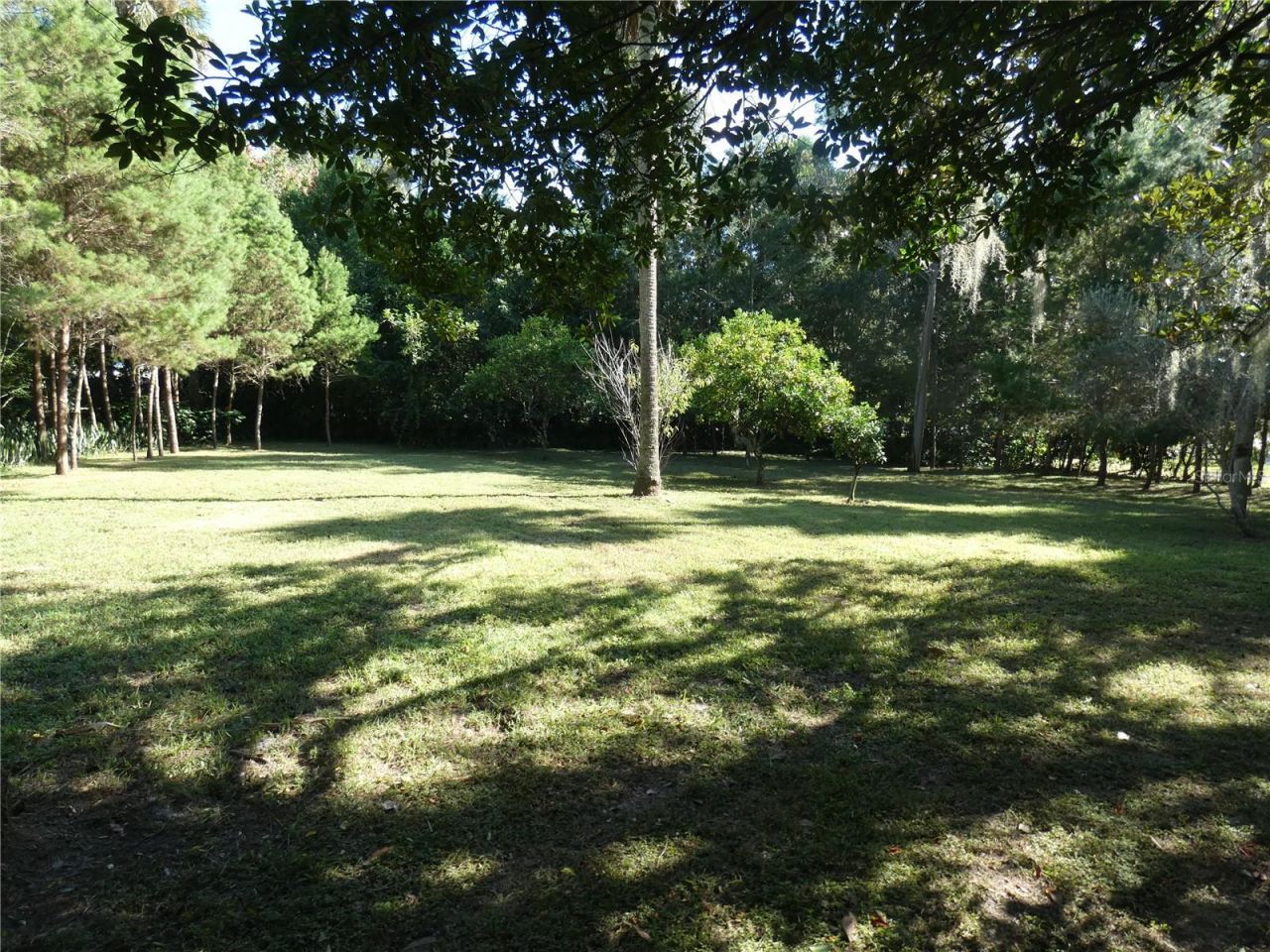 237 Cortez Avenue, De Leon Springs, FL 32130 Photo
