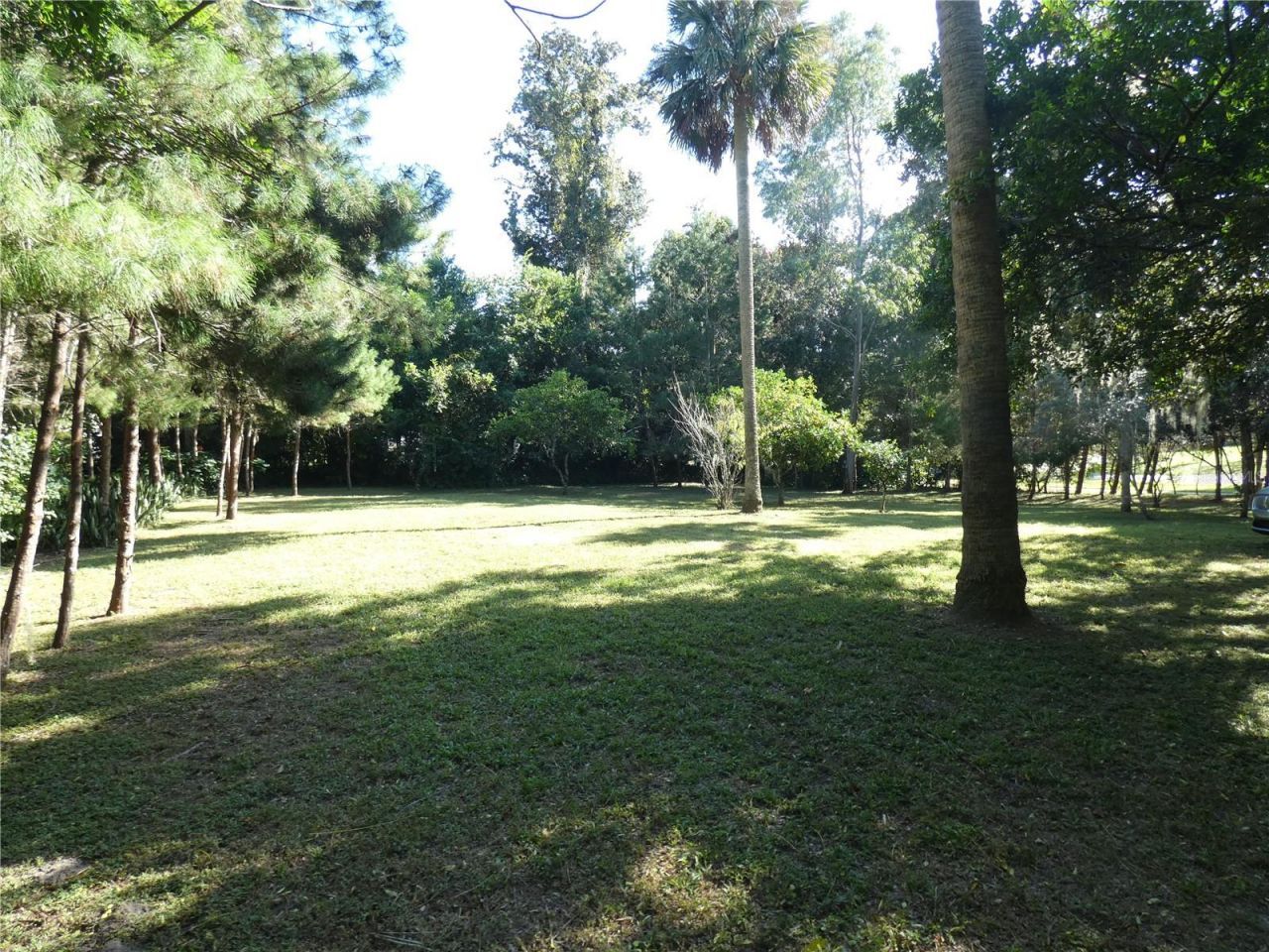 237 Cortez Avenue, De Leon Springs, FL 32130 Photo