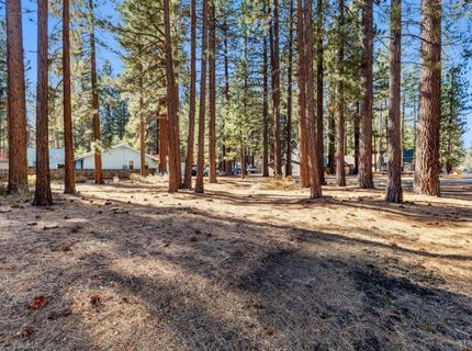 2664 Knox Avenue, South Lake Tahoe, CA 96150 Photo