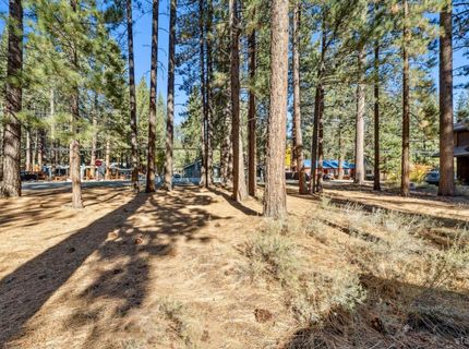 2664 Knox Avenue, South Lake Tahoe, CA 96150 Photo