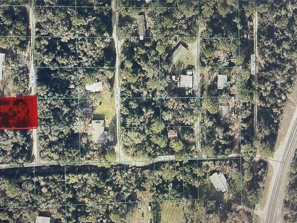 20790 NE 146TH COURT, FORT MC COY, FL 32134