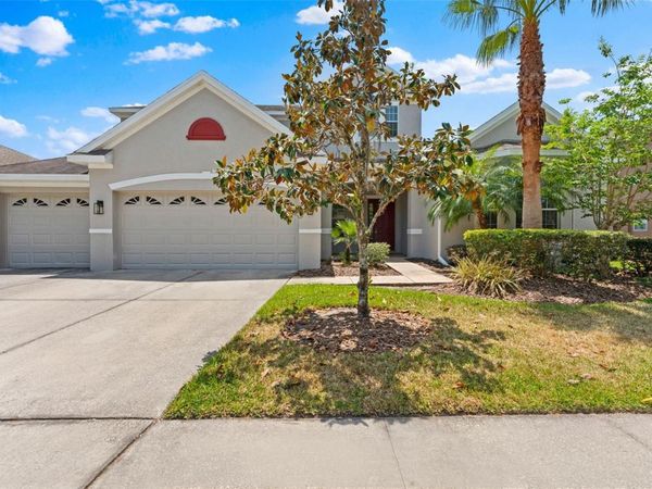 10511 MISTFLOWER LANE, TAMPA, FL 33647