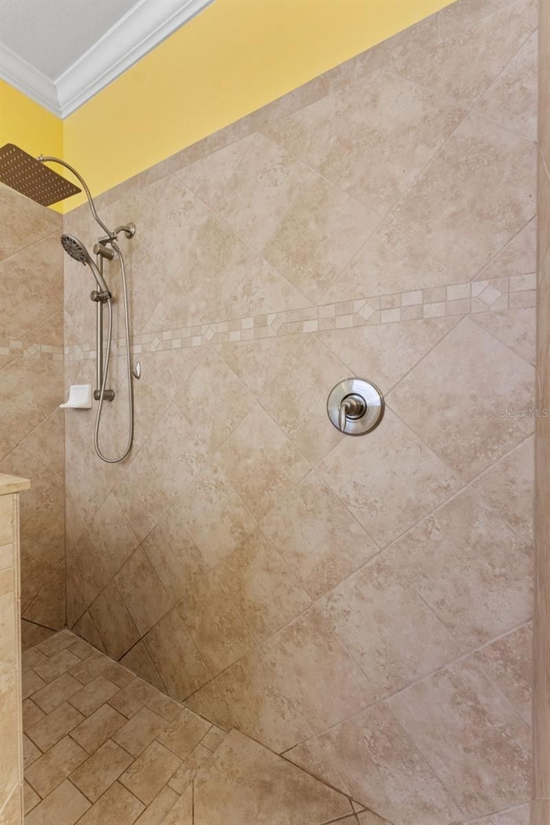 10511 Mistflower Lane, Tampa, FL 33647 Photo
