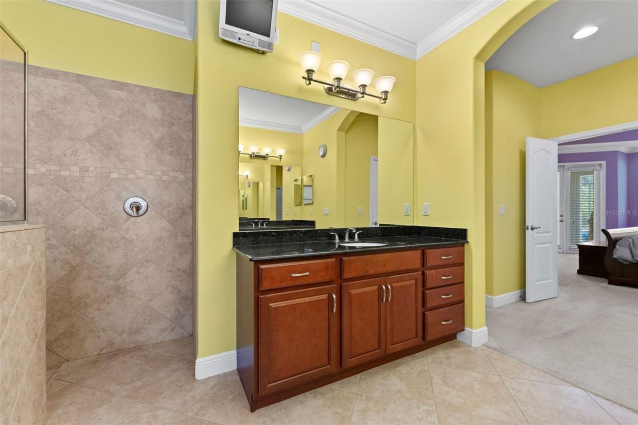 10511 Mistflower Lane, Tampa, FL 33647 Photo