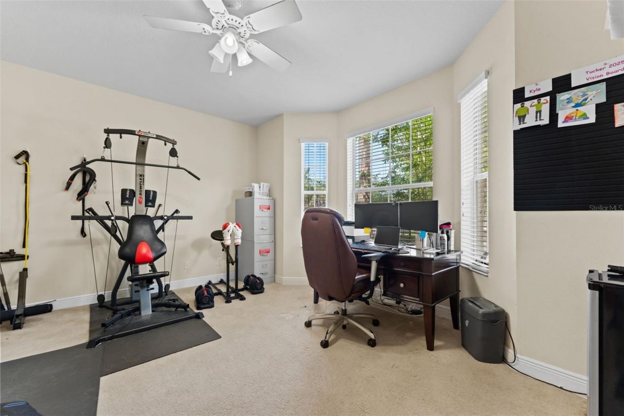 10511 Mistflower Lane, Tampa, FL 33647 Photo