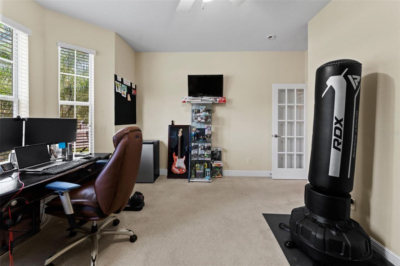 10511 Mistflower Lane, Tampa, FL 33647 Photo