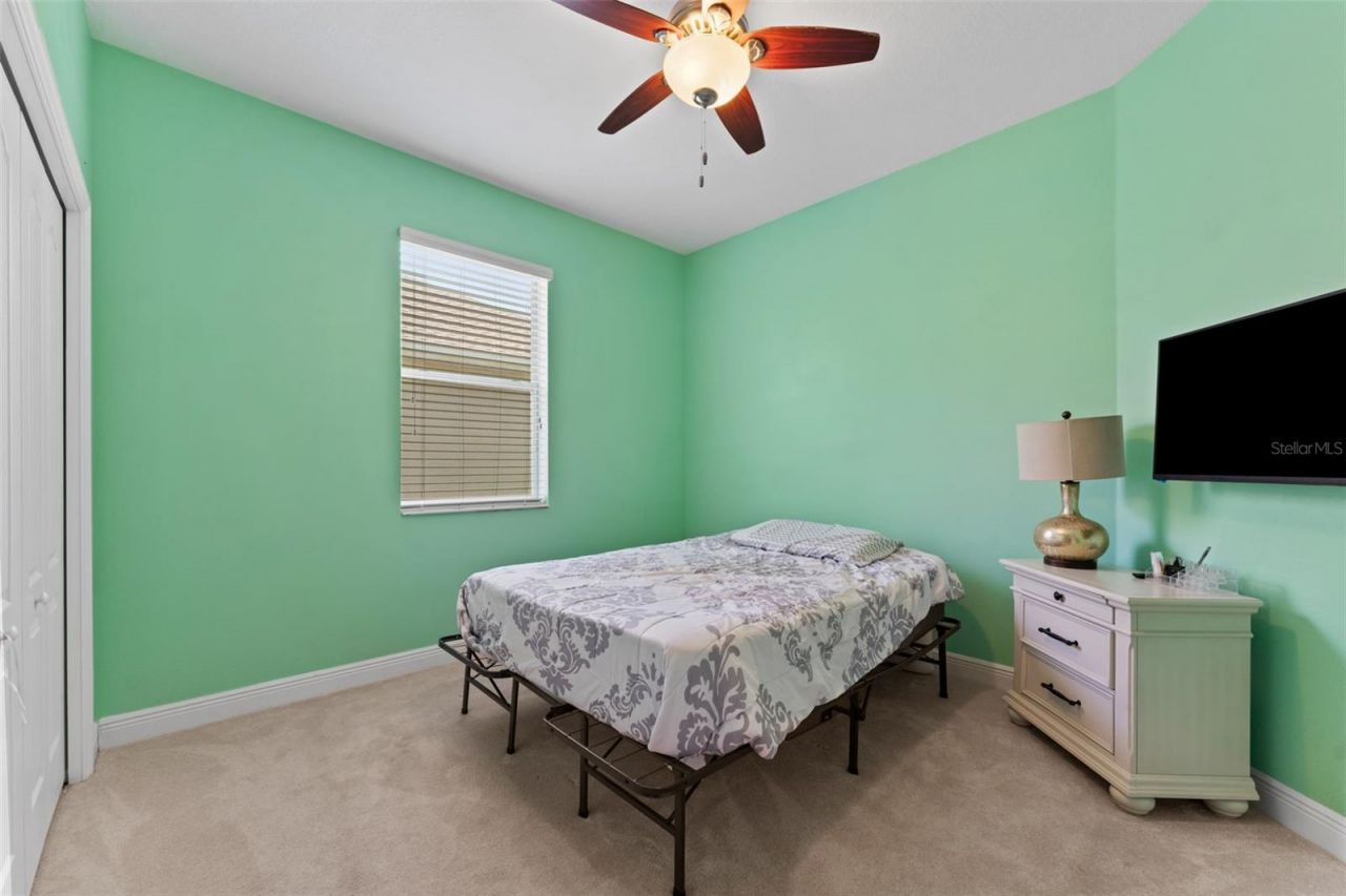 10511 Mistflower Lane, Tampa, FL 33647 Photo