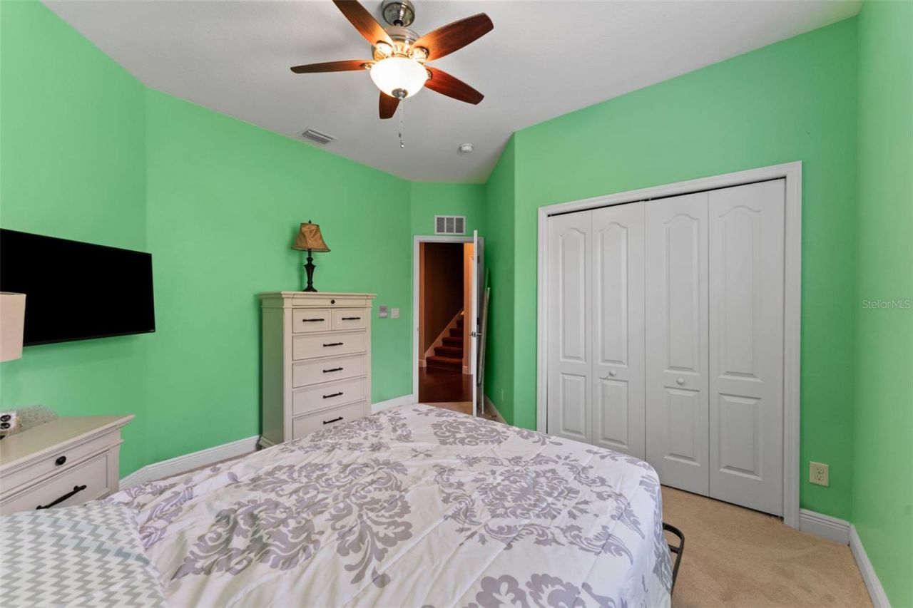 10511 Mistflower Lane, Tampa, FL 33647 Photo