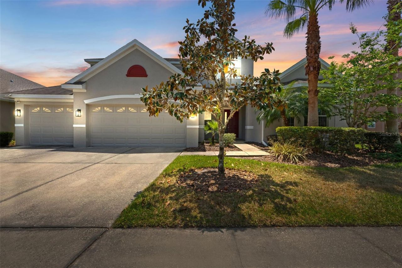 10511 Mistflower Lane, Tampa, FL 33647 Photo