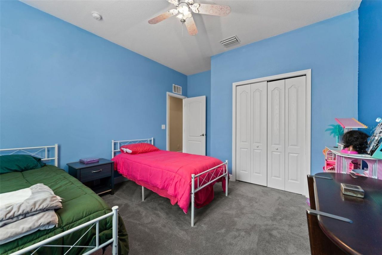 10511 Mistflower Lane, Tampa, FL 33647 Photo