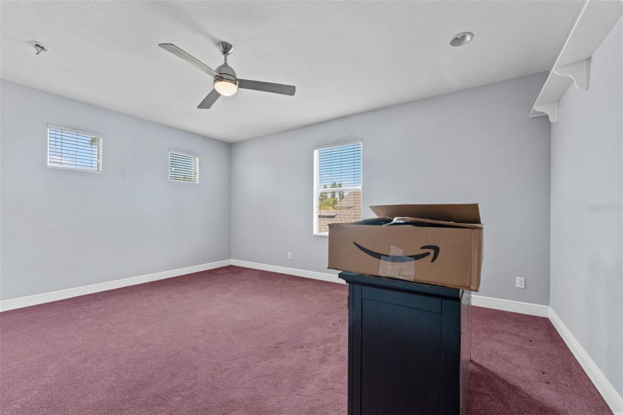10511 Mistflower Lane, Tampa, FL 33647 Photo