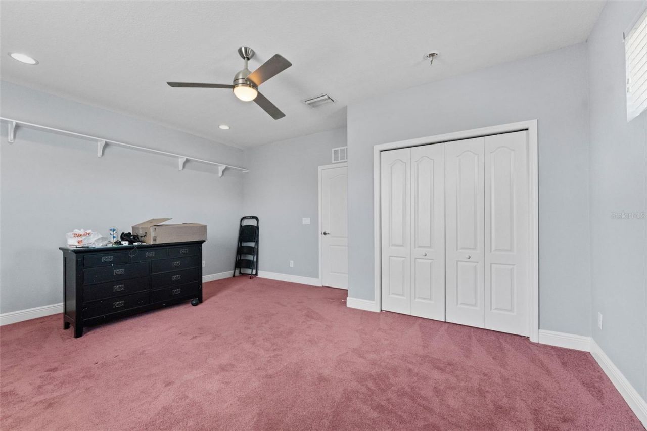 10511 Mistflower Lane, Tampa, FL 33647 Photo