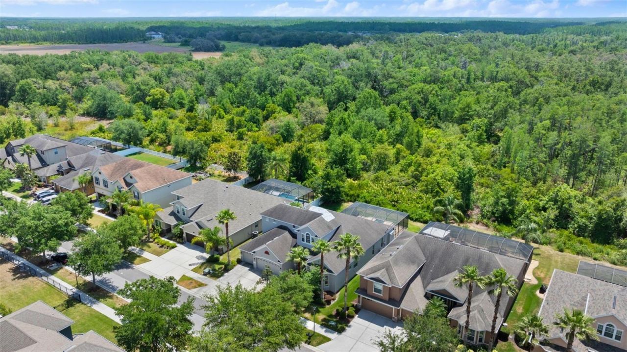 10511 Mistflower Lane, Tampa, FL 33647 Photo