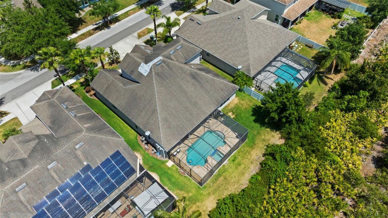 10511 Mistflower Lane, Tampa, FL 33647 Photo