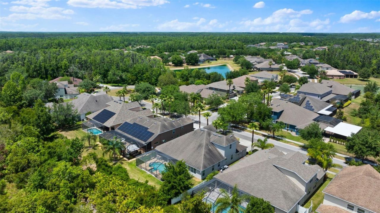 10511 Mistflower Lane, Tampa, FL 33647 Photo
