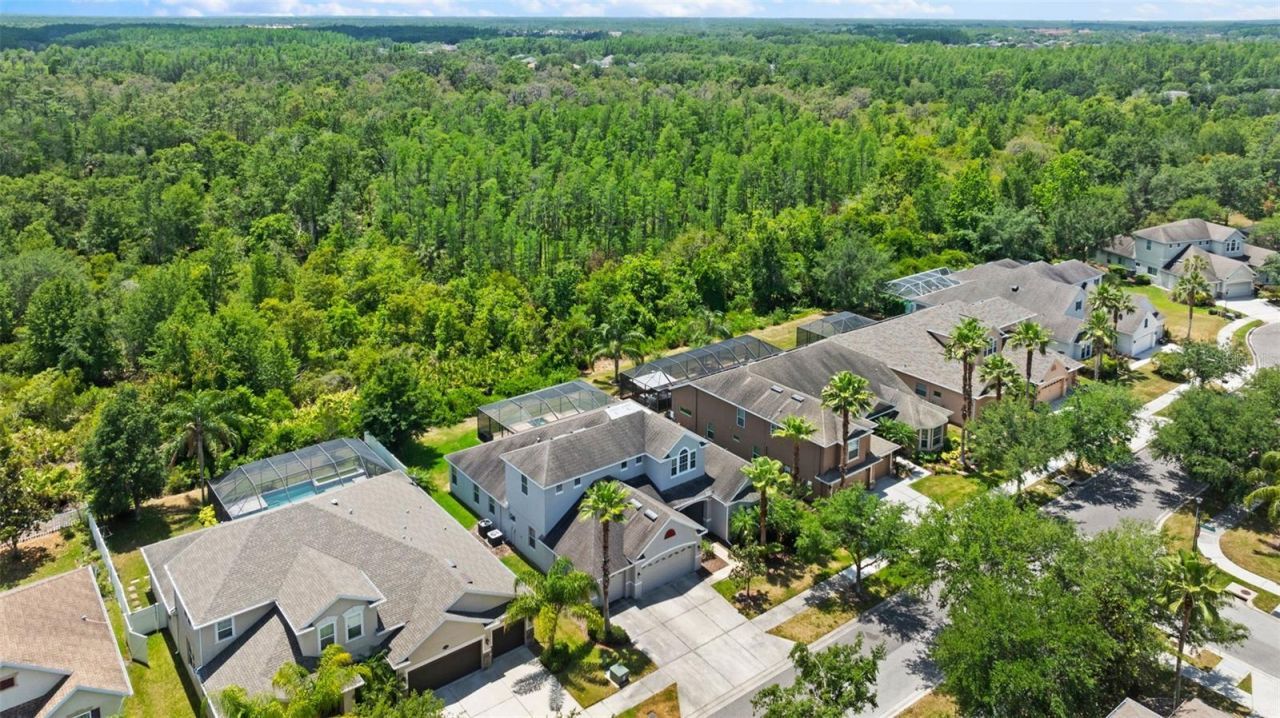10511 Mistflower Lane, Tampa, FL 33647 Photo