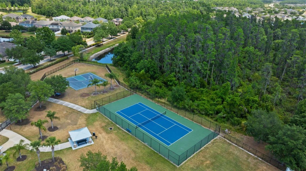 10511 Mistflower Lane, Tampa, FL 33647 Photo