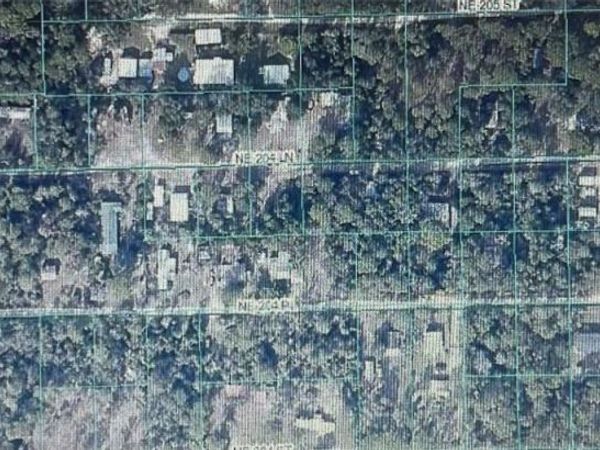 TBD NE NE 204TH LN, FORT MC COY, FL 32134