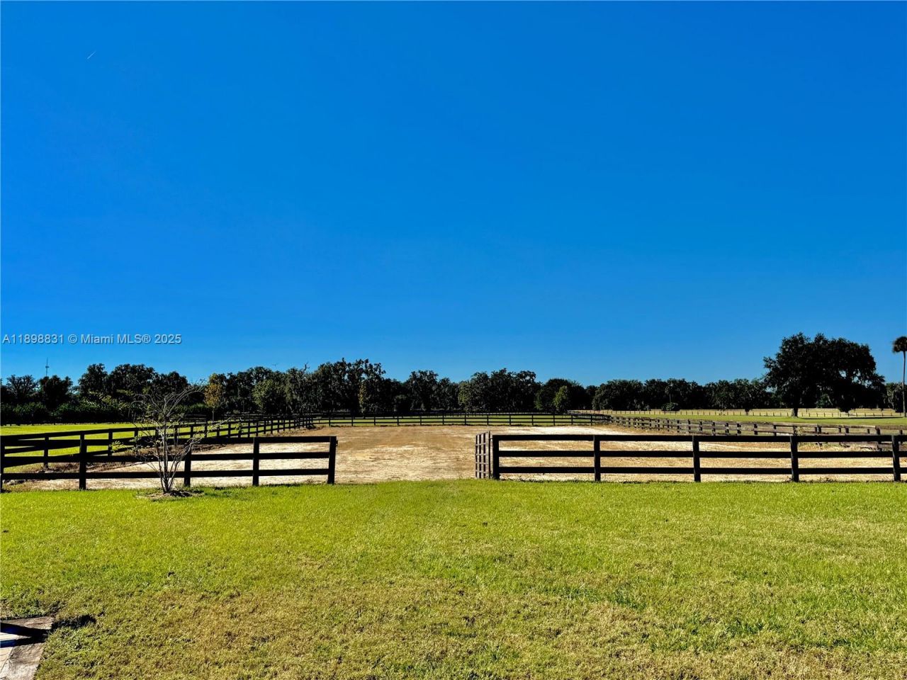 12424 SW 140th Loop, Ocala, FL 34432 Photo