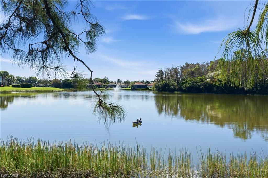 20691 Wildcat Run Dr, Unit 102, Estero, FL 33928 Photo