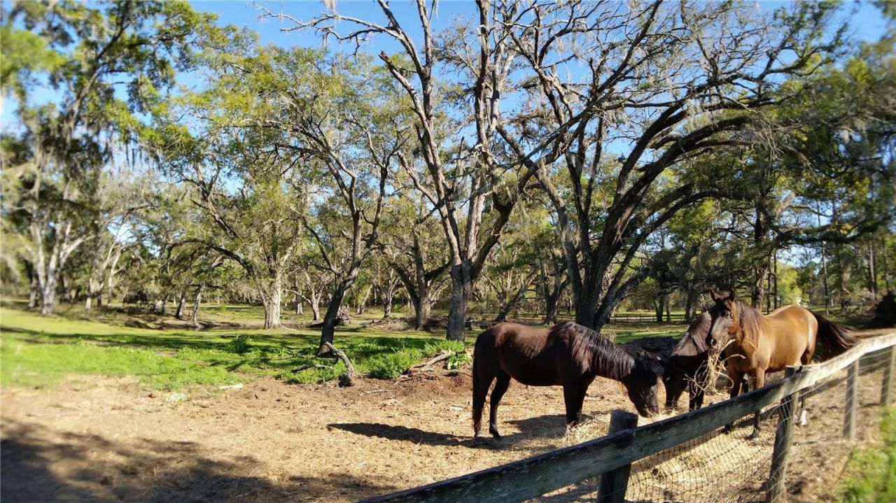18635 Phillips Road, Brooksville, FL 34604 Photo
