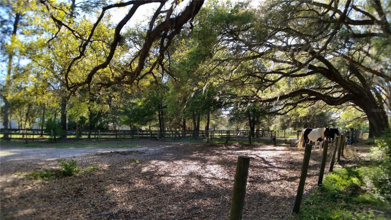 18635 Phillips Road, Brooksville, FL 34604 Photo