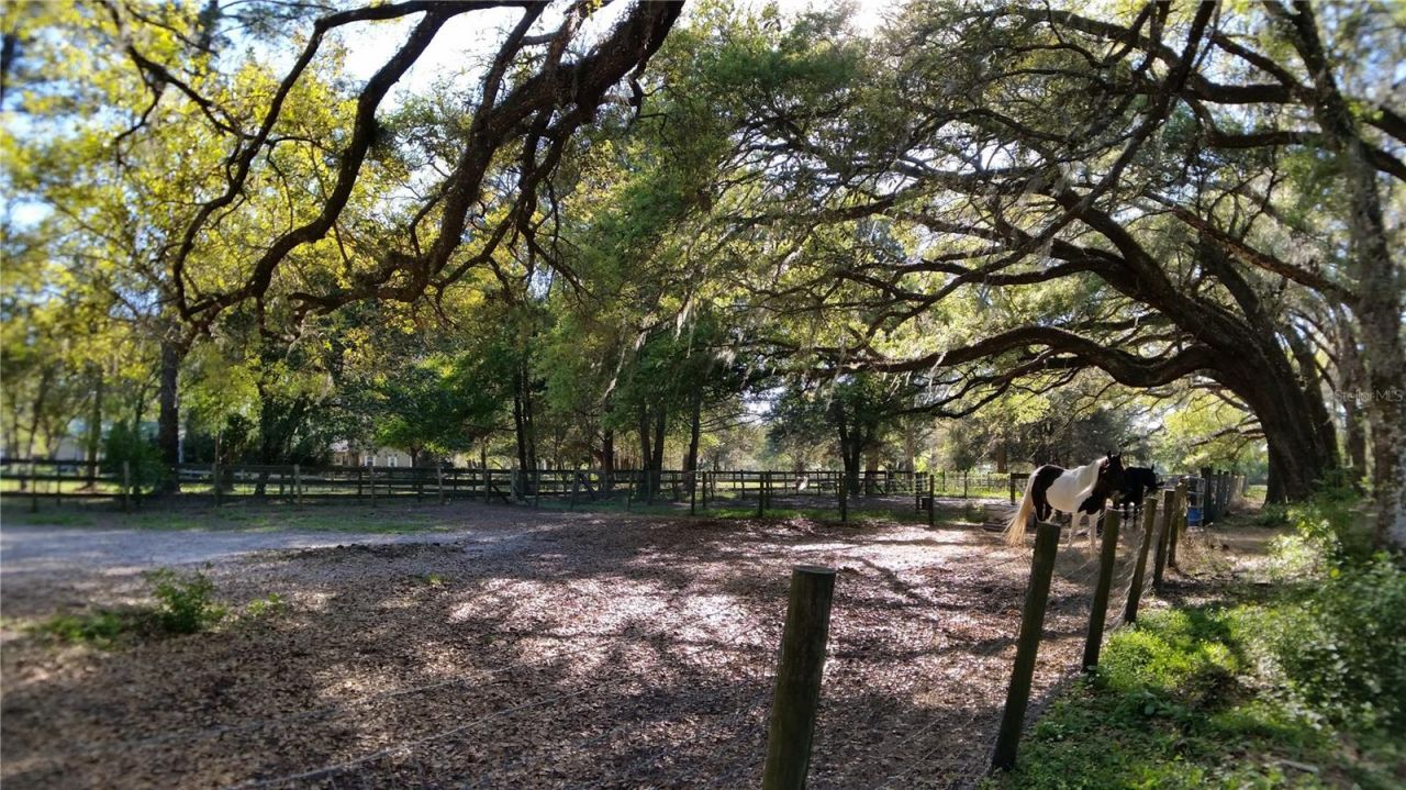 18635 Phillips Road, Brooksville, FL 34604 Photo