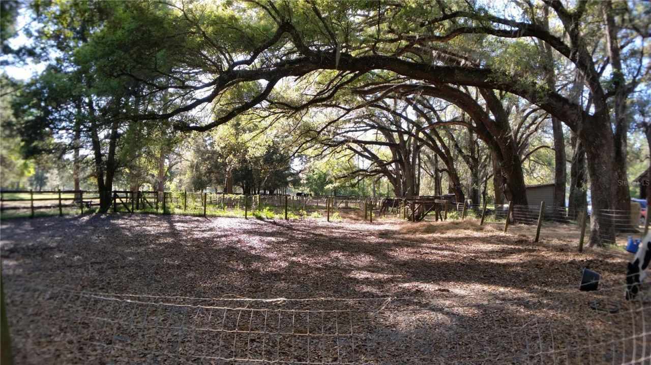 18635 Phillips Road, Brooksville, FL 34604 Photo