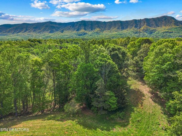 County Line Rd, Dandridge, TN 37725