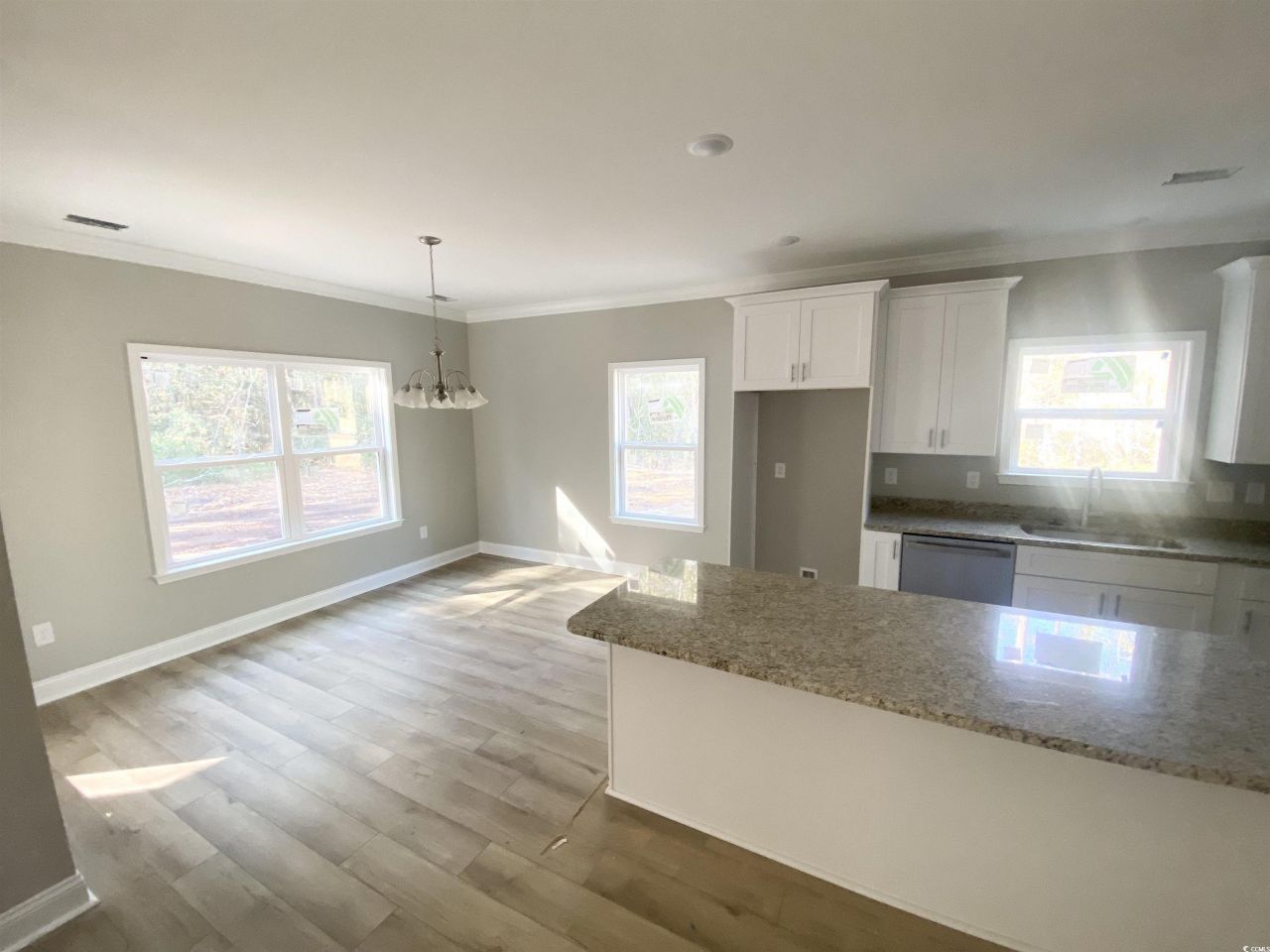 5553 Grape Arbor Ln. Photo 4