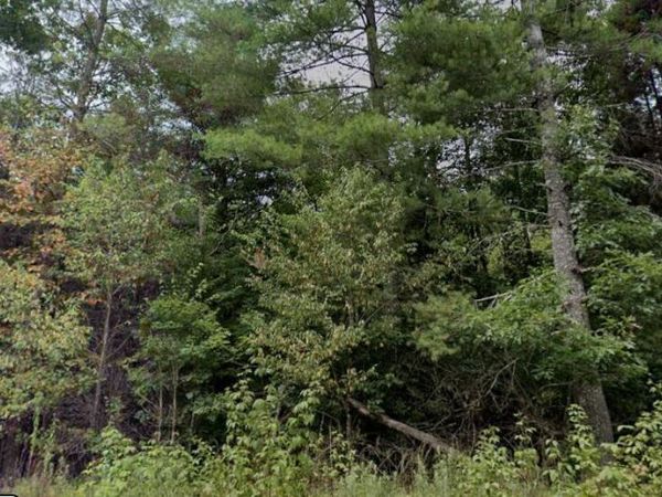 0 Ross Williams Rd, Lancing, TN 37770