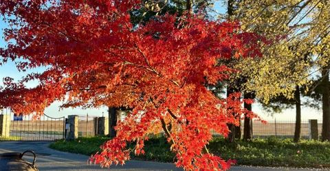 5880 Sunset Boulevard West, Roseville, CA 95747 Photo