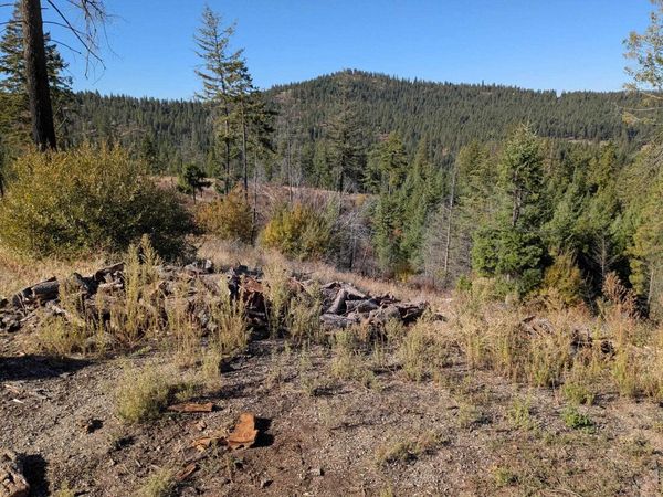 42484 Mt Moriah Way, Loon Lake, WA 99148