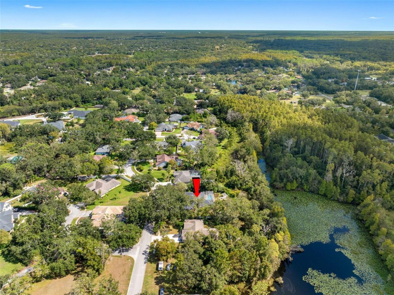 121 Myrtle Ridge Road, Lutz, FL 33549 Photo