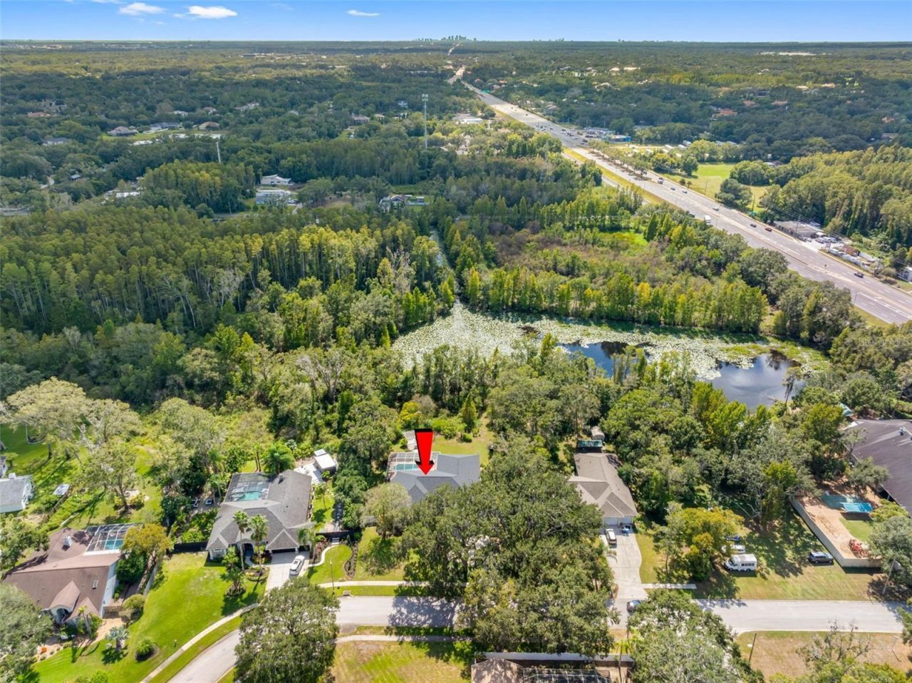 121 Myrtle Ridge Road, Lutz, FL 33549 Photo