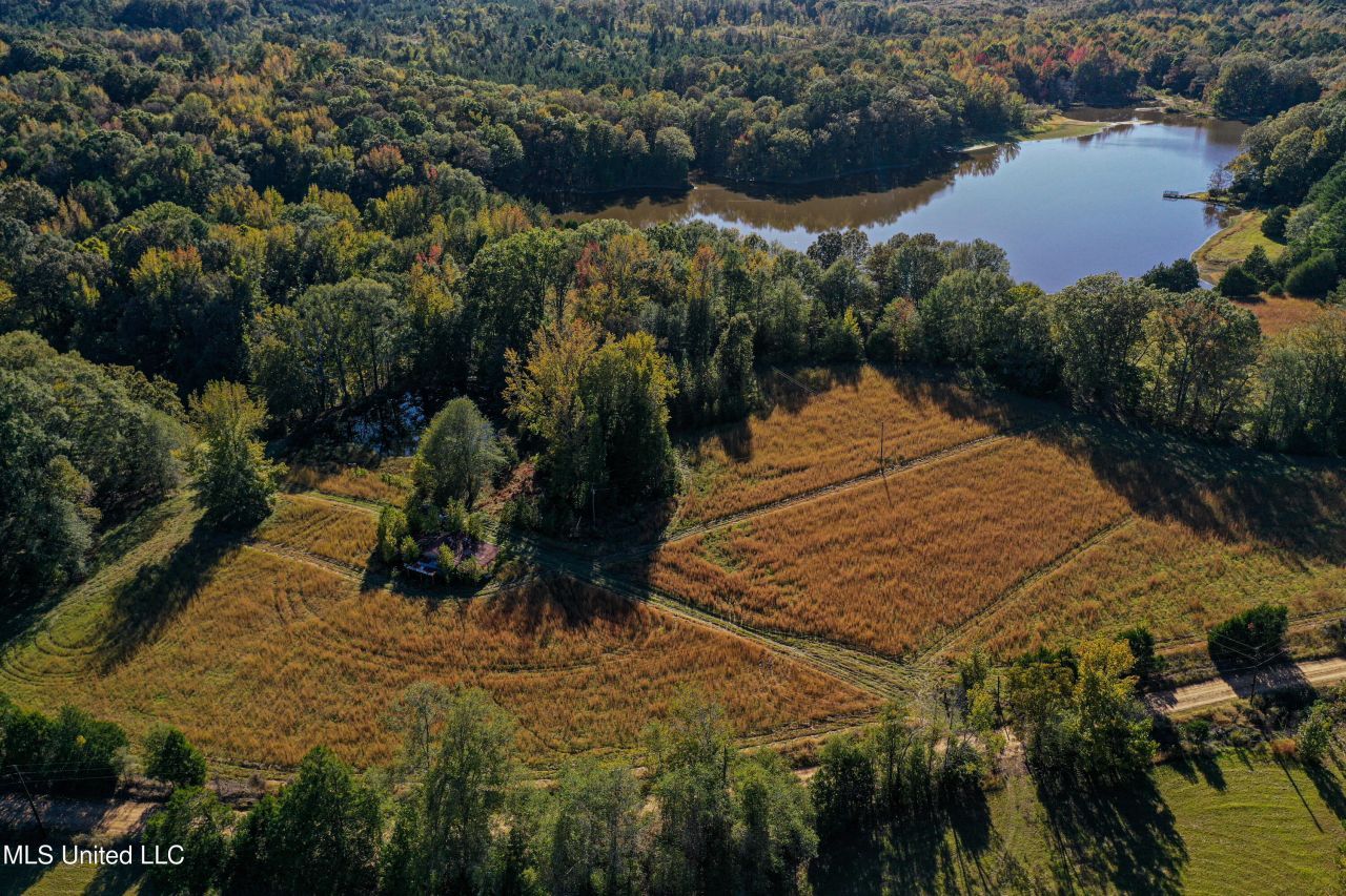 County Road 143, Coila, MS 38923 Main Photo