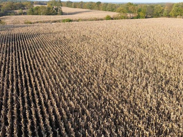 60 A Silver Trail, Floris, IA 52560