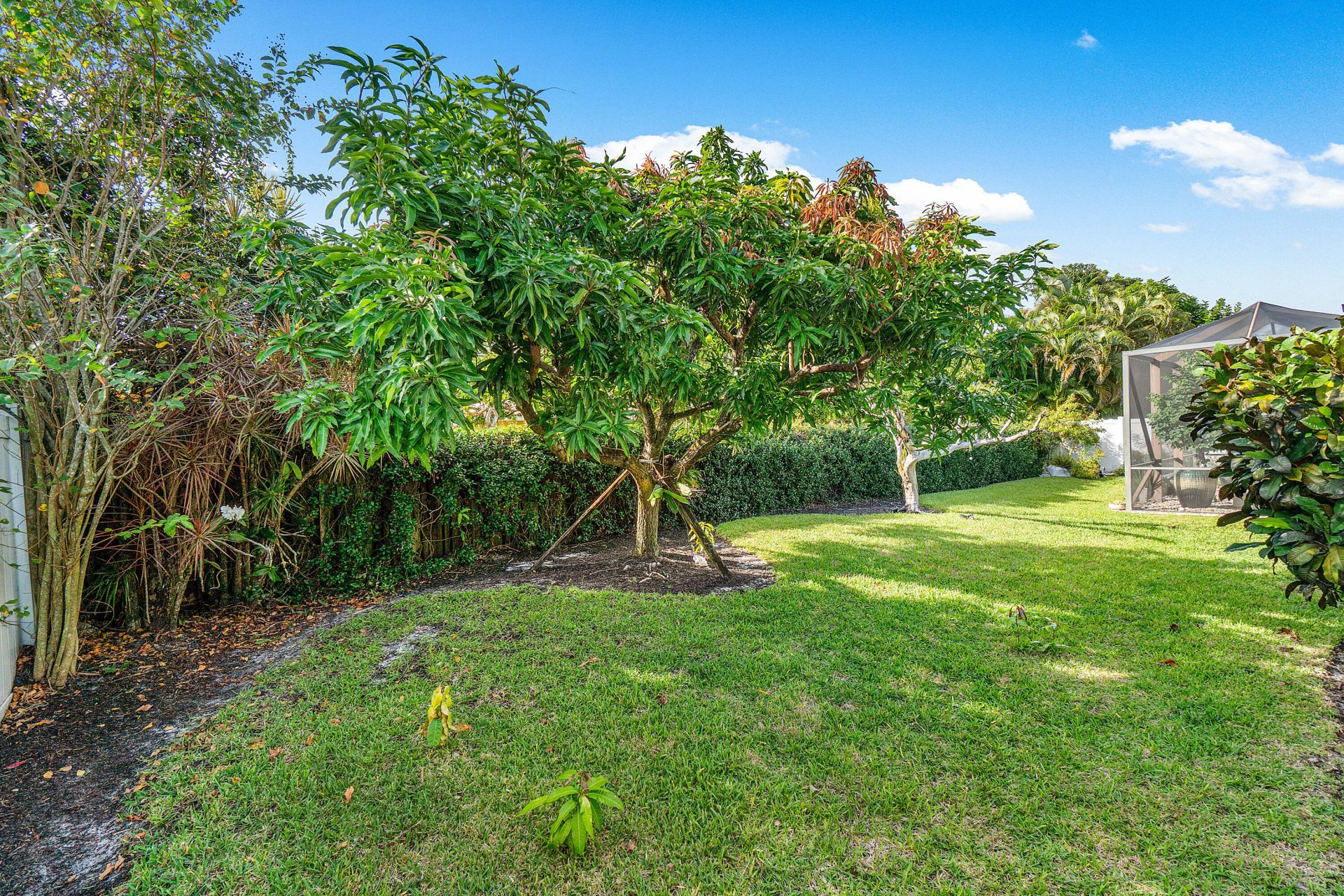 3509 NW 26th Court, Boca Raton, FL 33434 Photo