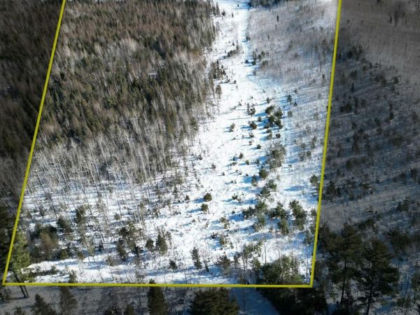 TBD Murray 20 Road, Spalding Twp, MI 49873