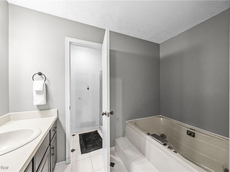 7350 Herrick Park Drive, Hudson, OH 44236 Photo 25