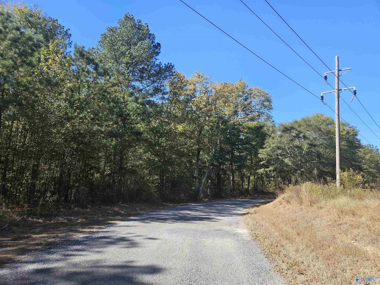 018 County Road 70, Sand Rock, AL 35984 Main Photo