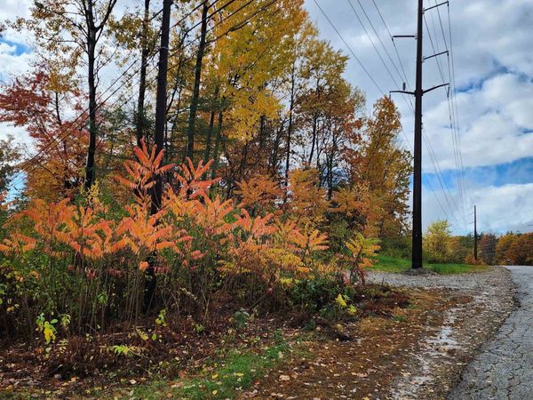 0 Ashuelot Drive, Tilton, NH 03276