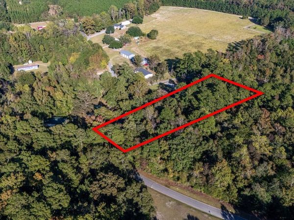 TBD Barnes Rd., Andrews, SC 29510