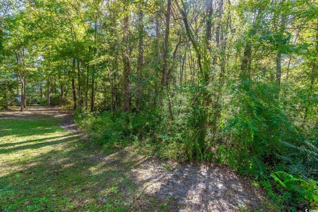 Tbd Barnes Rd. Photo 15