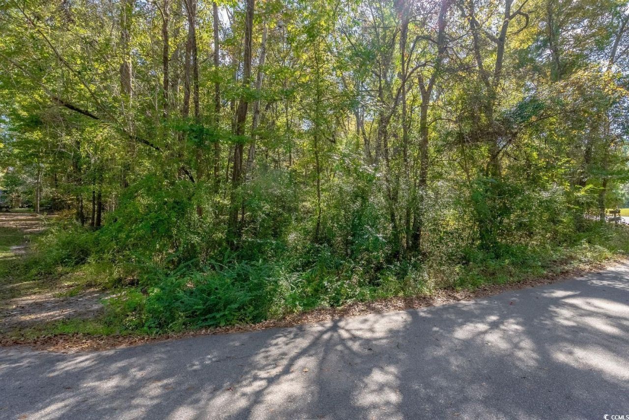 Tbd Barnes Rd. Photo 16