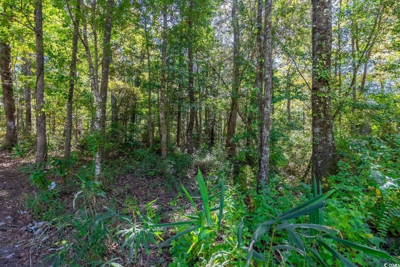 Tbd Barnes Rd. Photo 17